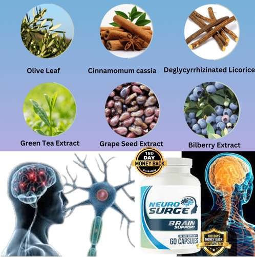 Neuro Serge Ingredients